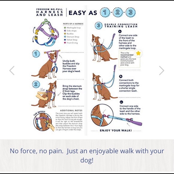 Turquoise No Pull Harness - Picture 5 of 7